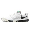کفش فوتسال نایک لونار گتو سفید نقره ای Nike Lunar Gato Silver