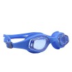 عینک شنا اسپیدو Speedo 2501