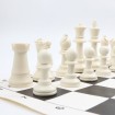 شطرنج ممتاز آیدین