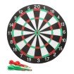 دارت Dartboard Professional