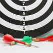 دارت Dartboard Professional