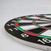 دارت Dartboard Professional