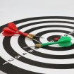 دارت Dartboard Professional