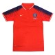 پلو شرت پاریسن ژرمن Nike PSG Polo