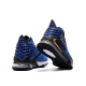 کفش بسکتبال مردانه نایک Nike LeBron 17 Blue Black Gold