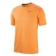 تیشرت مردانه نایک Nike Dry Miler AJ7574-882