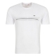 تیشرت مردانه Tshirt White