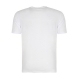 تیشرت مردانه Tshirt White