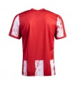 لباس اول اتلتیکو مادرید Atltico Madrid 2021-22 Home Soccer Jersey
