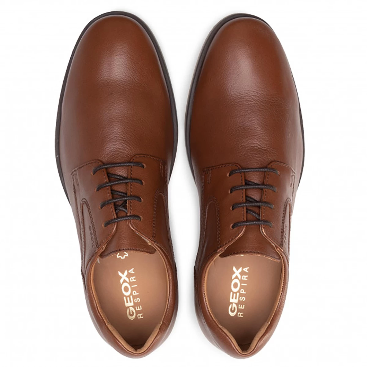 کفش مردانه جی اوکس Geox U026QC-Brown
