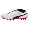 کفش فوتبال پوما Puma One 17.4 AG 104076-01