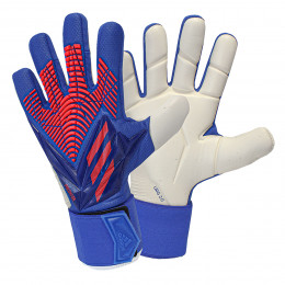 دستکش دروازه بانی  آدیداس پردیتور Adidas Predator Competition Goalkeeper Gloves H43776