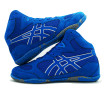 کفش کشتی اسیکس Asics Matfelex4 Blue